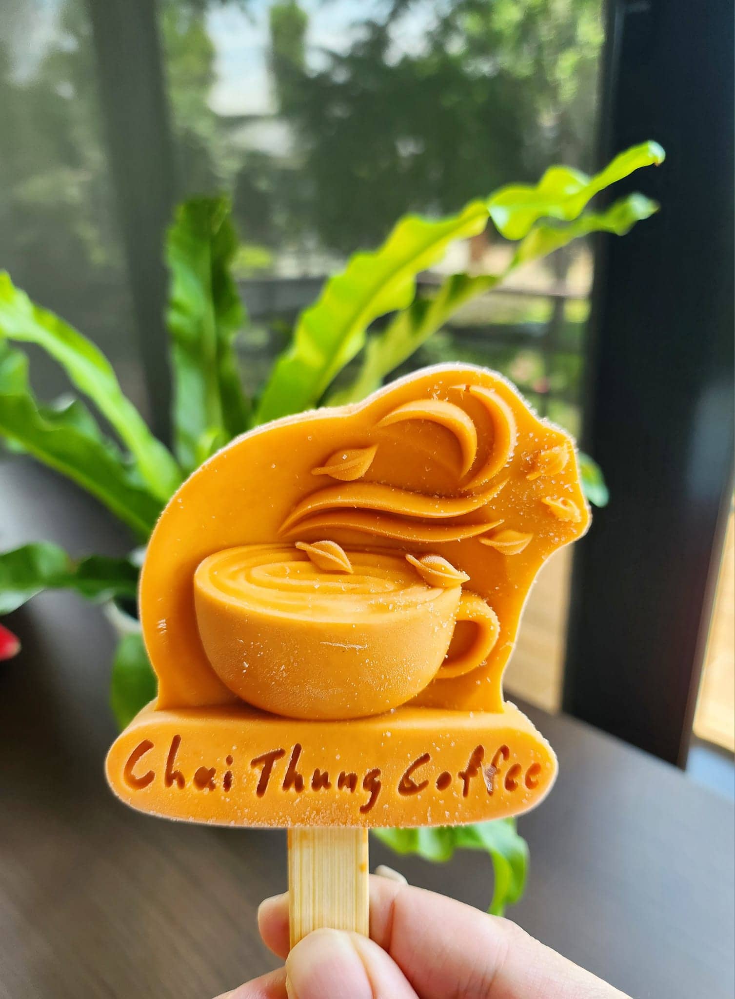 ไอติม3มิติ กาแฟชายทุ่ง Chai Thung Coffee 25