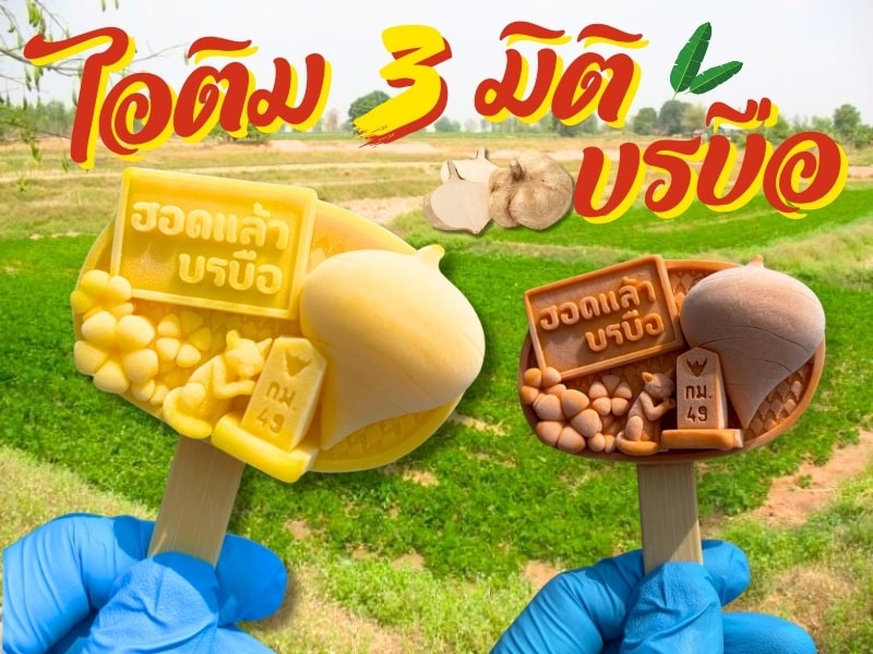 ไอศกรีม3มิติ เกาะพีพี