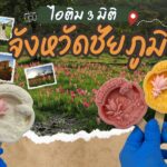 ไอติม3มิติ จังหวัดชัยภูมิ 3