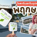 ไอศกรีมสกรีนรูปภาพ Work Life Well-Lived – ชีวิตอย่างดี... ที่พฤกษา 2