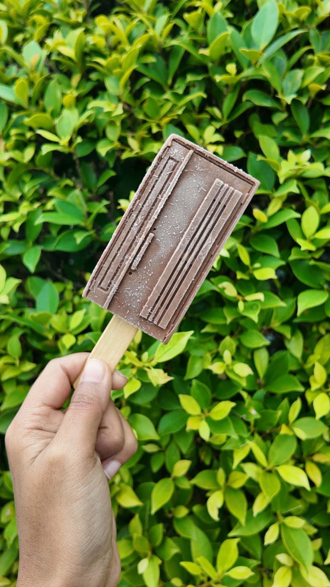 เปิดตัว ไอติม 3 มิติ TOSTEM