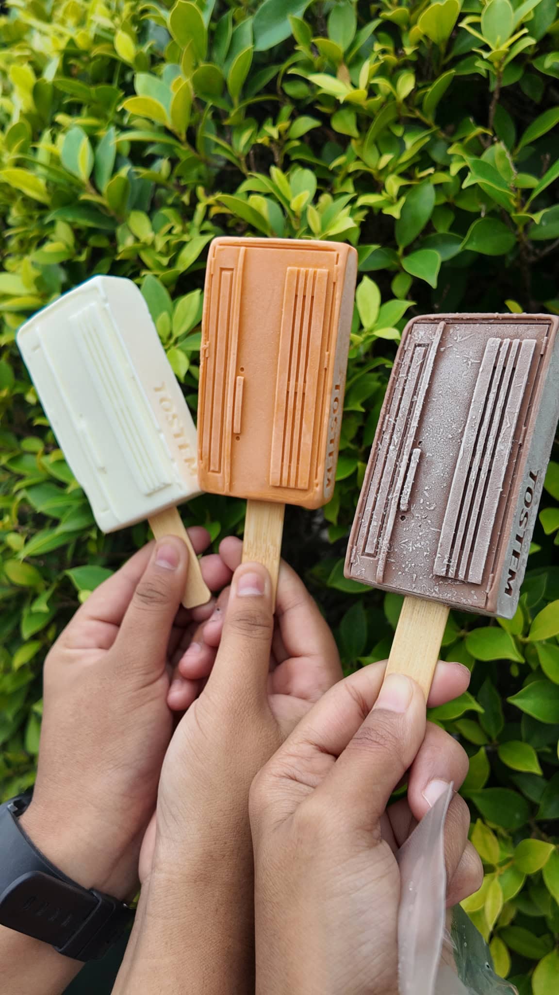 เปิดตัว ไอติม 3 มิติ TOSTEM