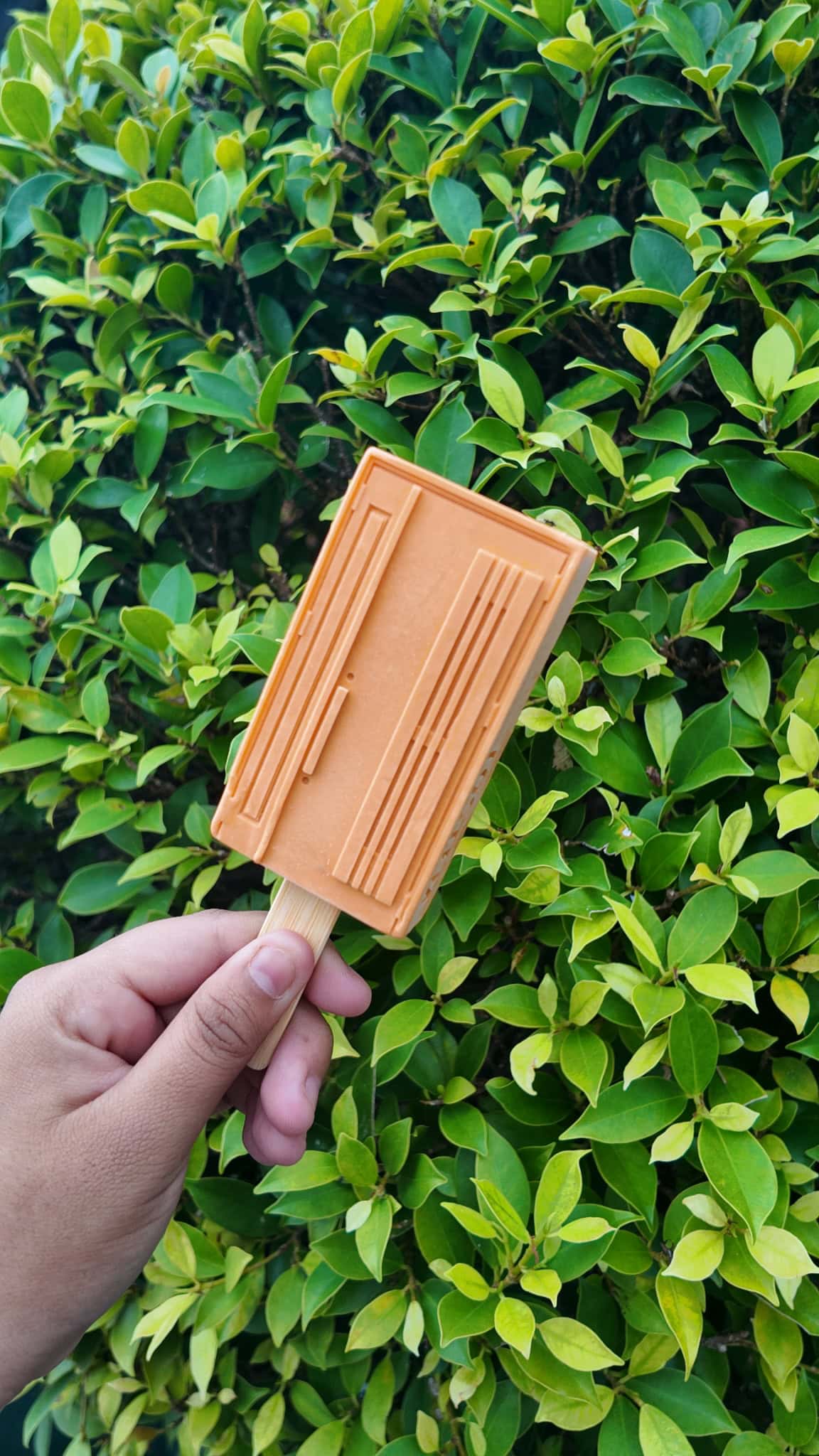 เปิดตัว ไอติม 3 มิติ TOSTEM