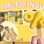 ไอติม3มิติ INGU 18