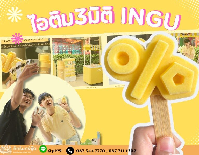 ไอติม3มิติ INGU 9