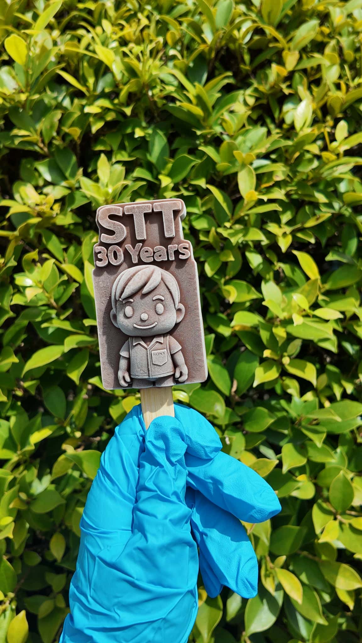 ไอติม 3 มิติ STT 30th Anniversary 2 ไอติม 3 มิติ STT 30th Anniversary