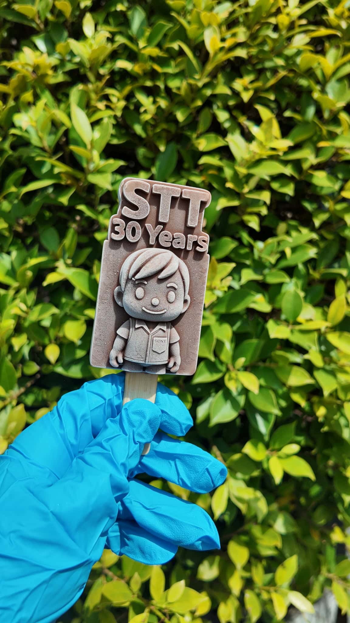 ไอติม 3 มิติ STT 30th Anniversary 4 ไอติม 3 มิติ STT 30th Anniversary