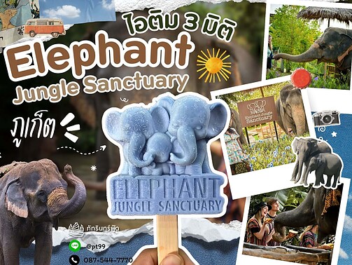 ผลงานของเรา 5 Elephant Jungle Sanctuary-cover