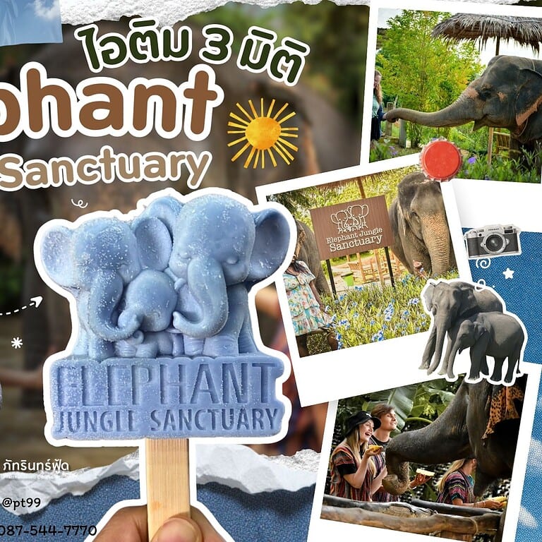 ไอติม3มิติ Elephant Jungle Sanctuary ภูเก็ต 3 ไอติม3มิติ Elephant Jungle Sanctuary ภูเก็ต 3