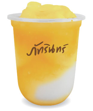 แฟรนไชส์ ภัทรินทร์ไอศกรีม 13