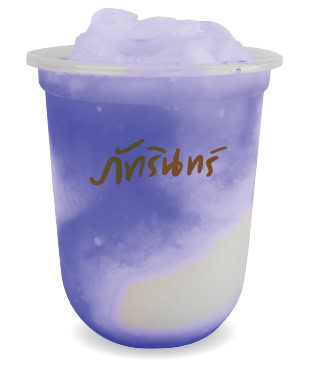 แฟรนไชส์ ภัทรินทร์ไอศกรีม 16