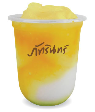 แฟรนไชส์ ภัทรินทร์ไอศกรีม 17