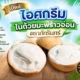 ChatGPT Image 24 ส.ค. 2569 10_17_06