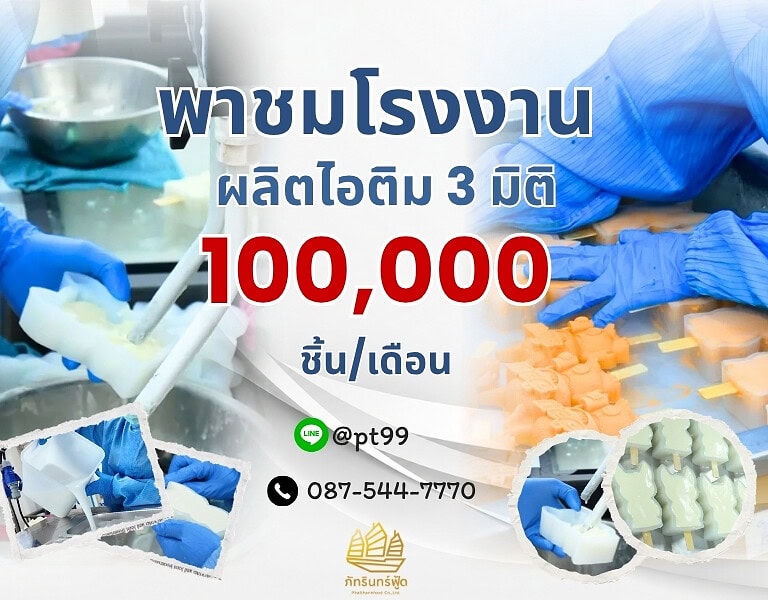พาชมโรงงานผลิตไอติม 3 มิติ 2