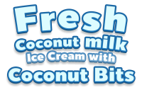Fresh Coconut milk Ice Cream with Coconut Bits