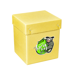 coco icecream box