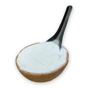 coconut-shell